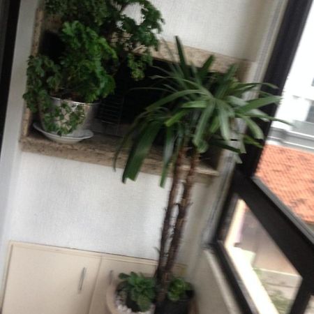 Jurere Apartment ฟลอเรียนอโปลิส ภายนอก รูปภาพ